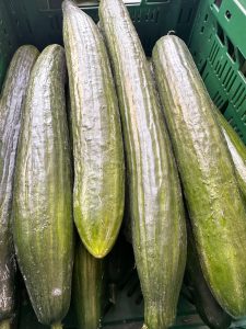 Gurken - Gemüse draußen vor dem Markt - Mein Bauernmarkt Höchenschwand